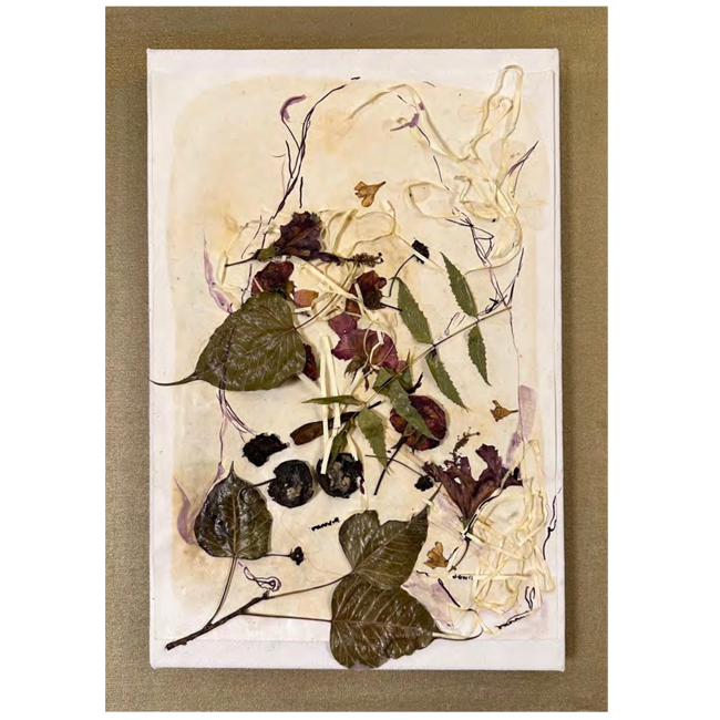 Violet Adaptation 28